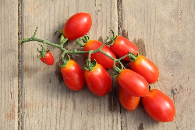 Cocktail tomato