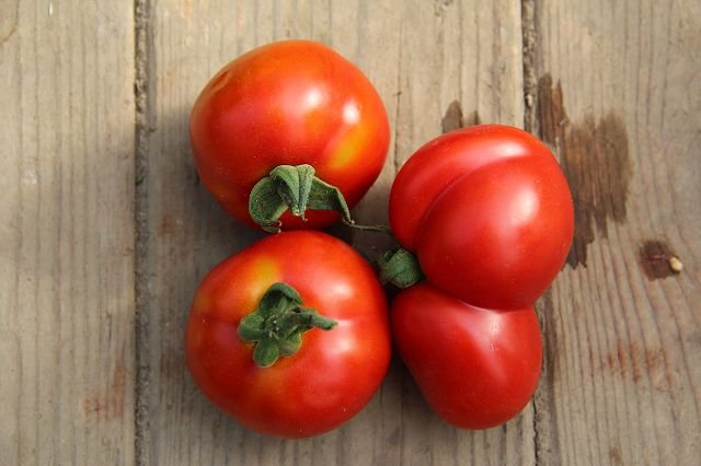 Tomato “Sardo”