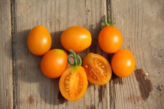 Cocktail tomato “Golden HATO”