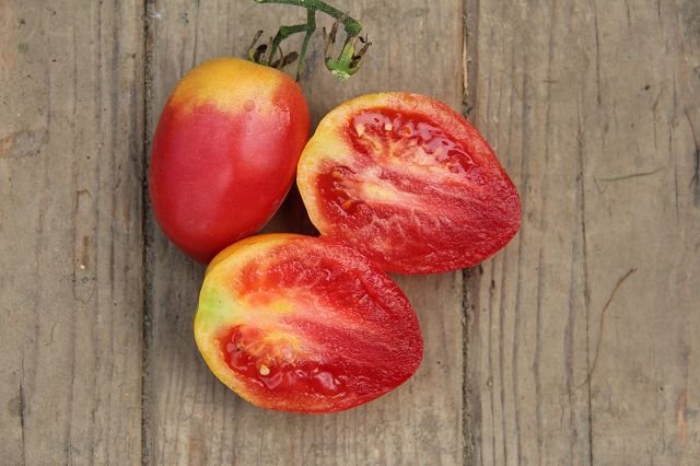 Tomato “Franz. Ochsenherz”