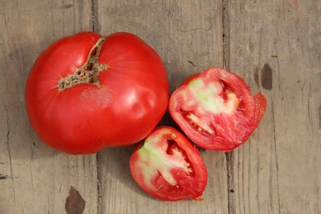 Tomato “Sun Burst”