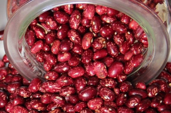 Pole bean „Domaci Cucak“