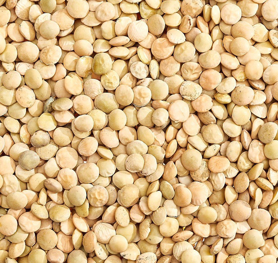 Lenses "Späths Alblinse I"