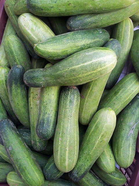 Cucumber "Foothills Grapes"