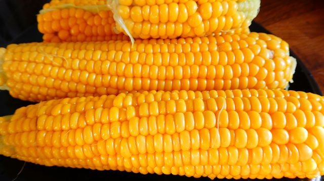 Sweet corn "True Sweet Gold"