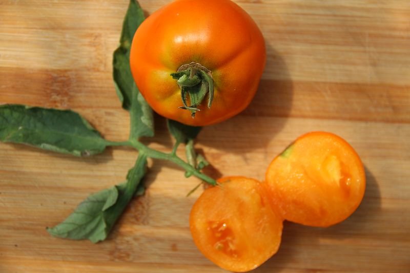 Flesh tomato „Hurma“