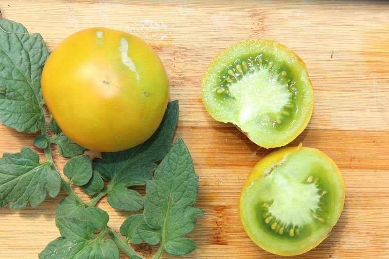 Balcony tomato „Lime Green“