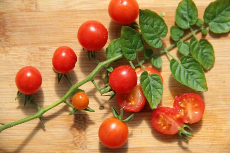 Wild tomato „Rote Murmel“