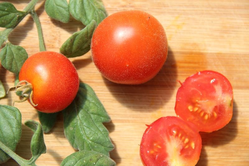 Cocktail Tomato „Angora Super Sweet"