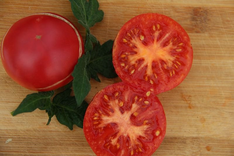 Balcony tomato „Dwarf Champion"