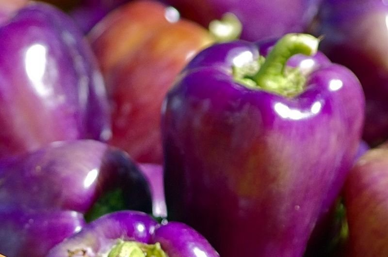 Purple Sweet Pepper „Oda"