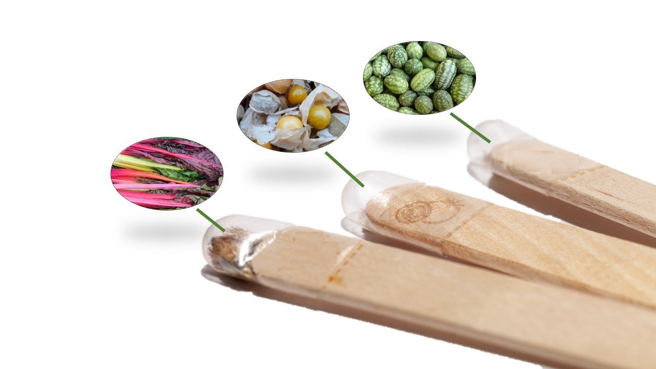 „Garden Joy" Seed Sticks