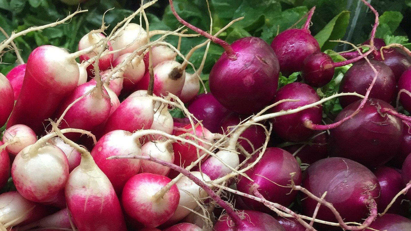 Colorful radish