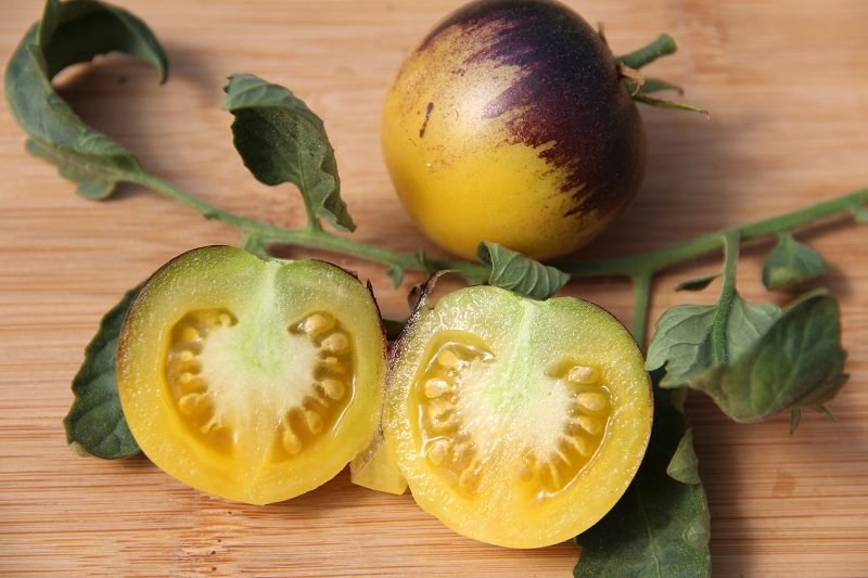 Little Fuzzy Blue Ball Tomato