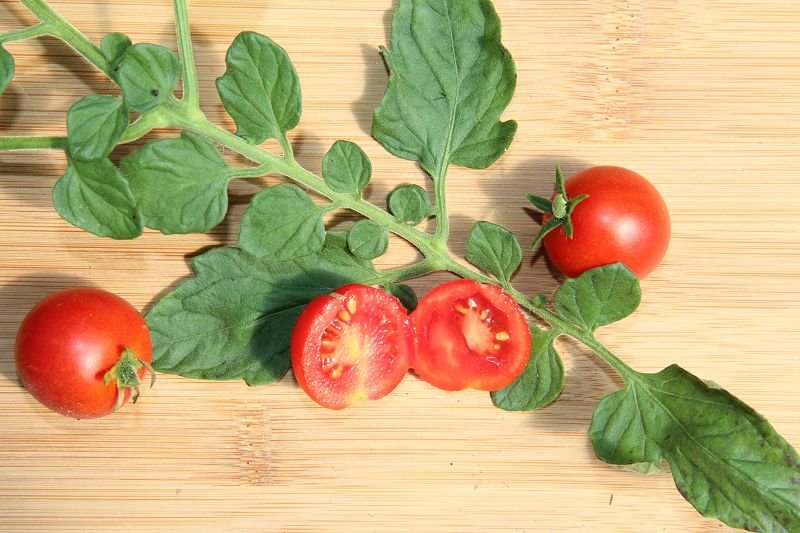 Dried Tomato "Raisin Tomato"