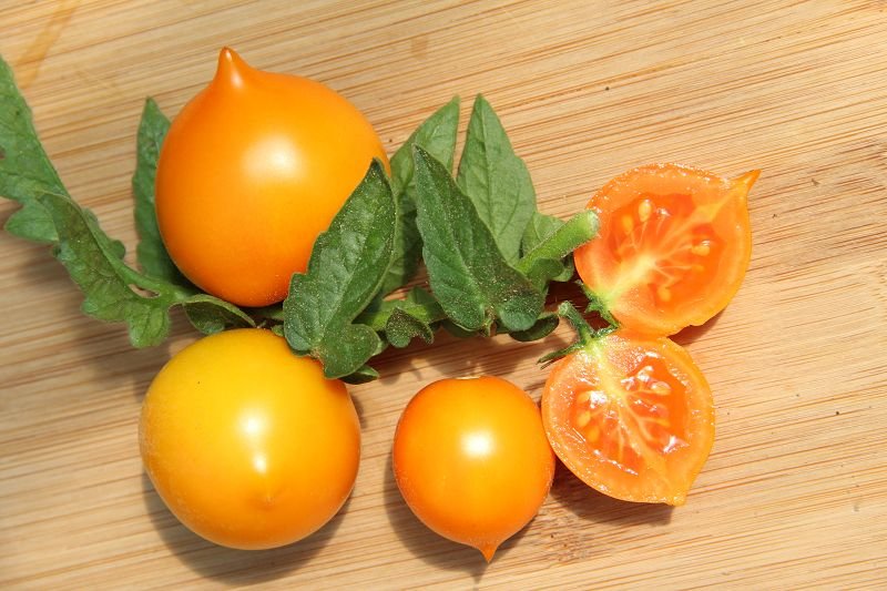 Balcony tomato "Utenok"