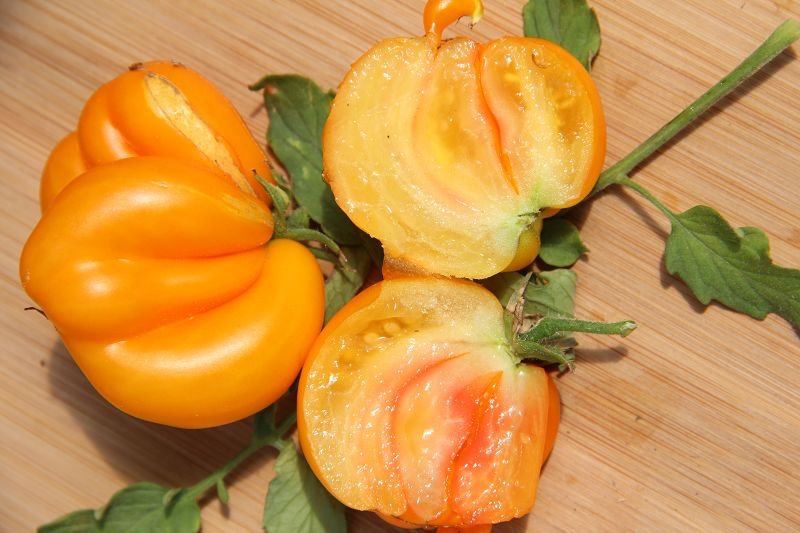 Balcony tomato "Phils 1"