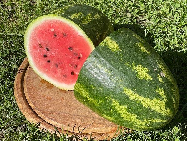 Watermelon "Ali Baba"