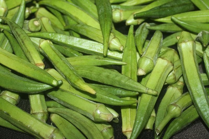 Okra „Clemson Spineless“