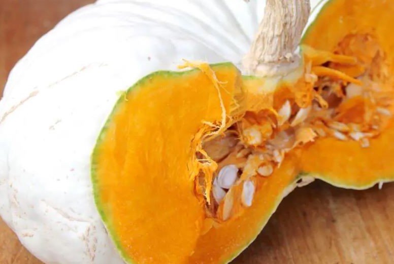 Flat White Boer Pumpkin