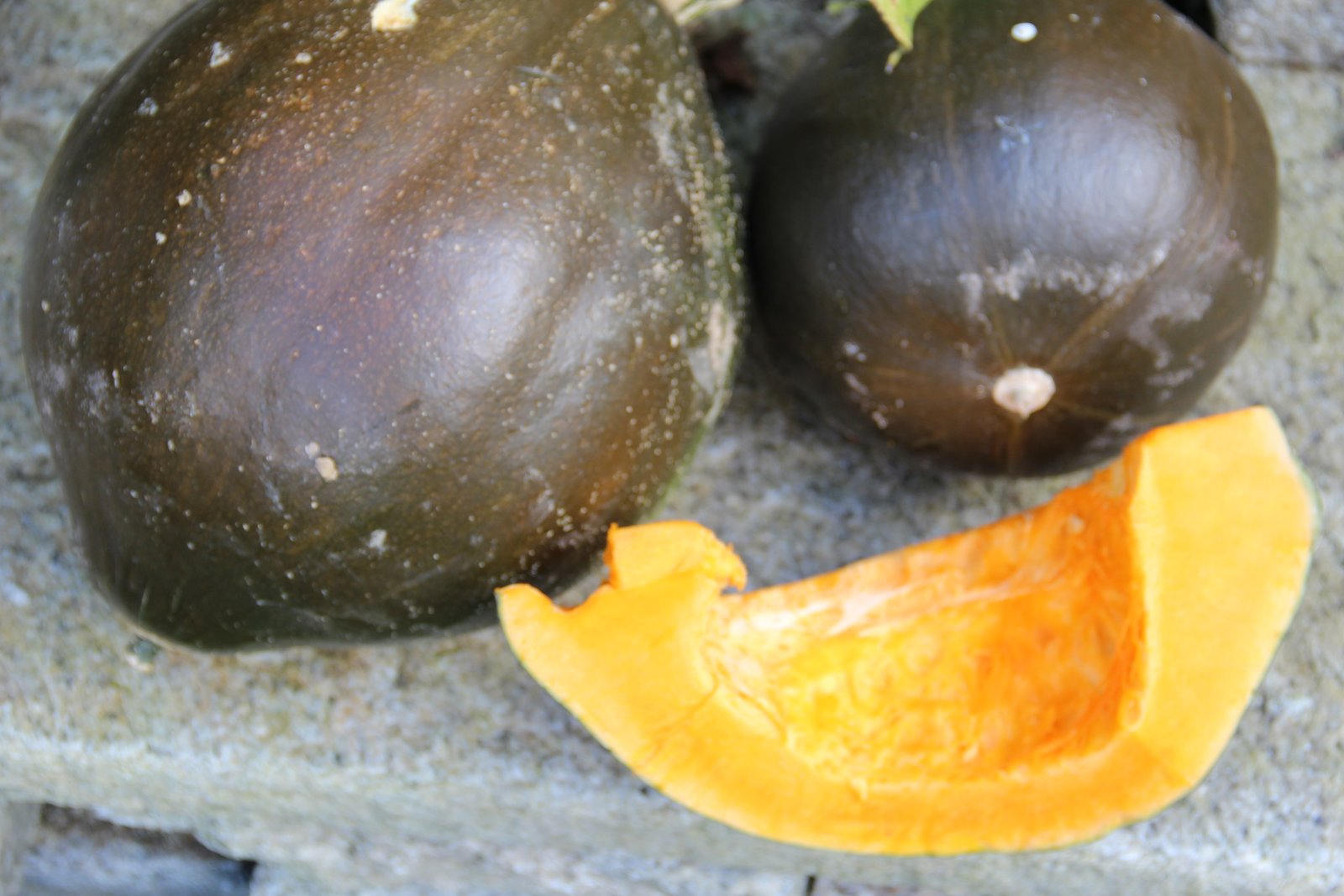 Pumpkin „Vert Olive“