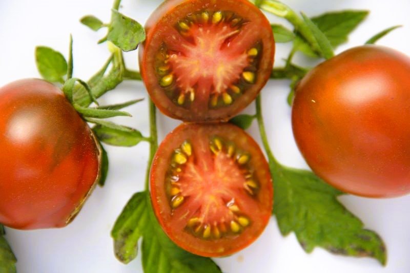 Beef tomato „Black Prince”