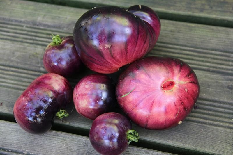 Tomato Amethyst Jewel
