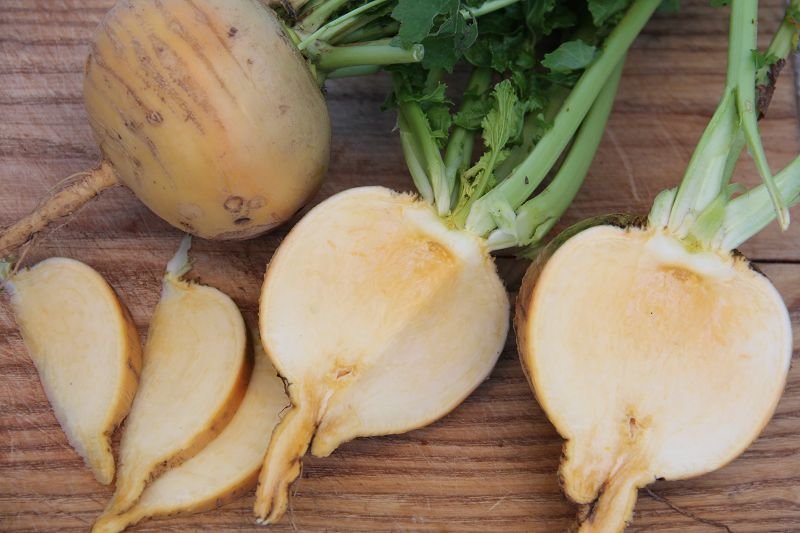 May turnip "Gold Ball"