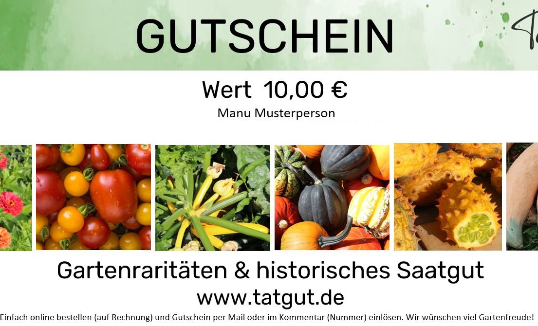 Tatgut shopping voucher 10€