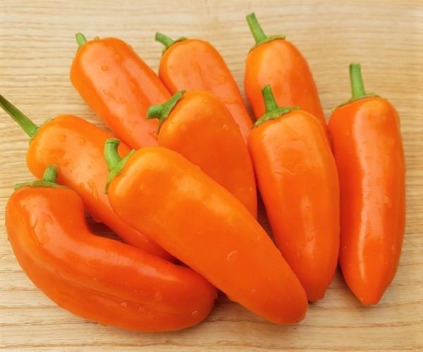 Paprika Sweet Bite Ophelia