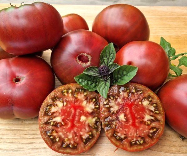 Tomato Marizol Purple