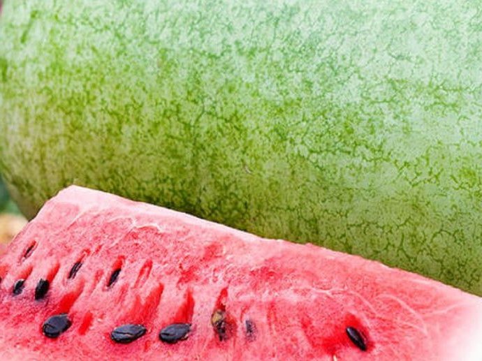 Watermelon Charleston Gray